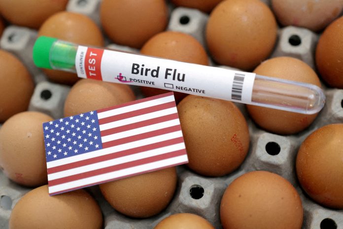 BIRD FLU samples
