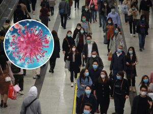 HMPV virus